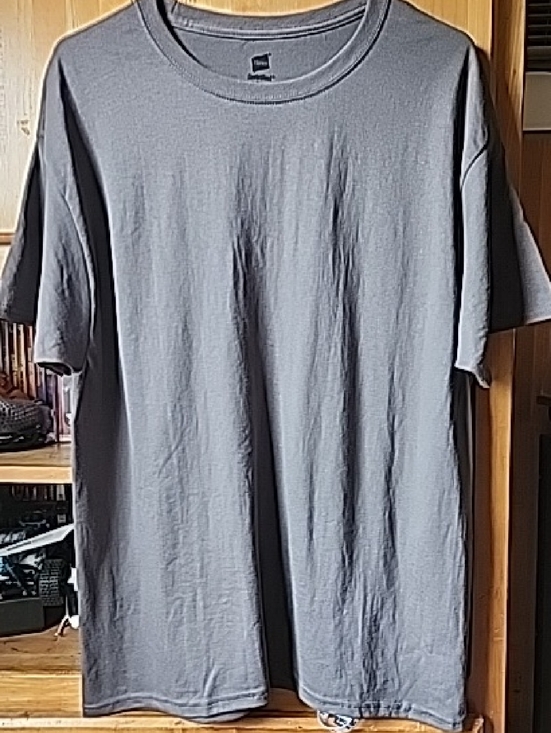 Hanes Other - Hanes Men’s Short Sleeve Crewneck T-Shirt in Gray. Sz L